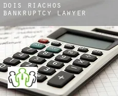 Dois Riachos  bankruptcy lawyer