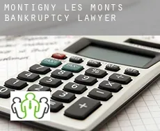 Montigny-les-Monts bankruptcy lawyer