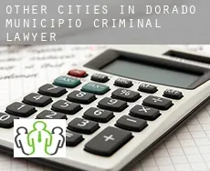 Other cities in Dorado Municipio  criminal lawyer