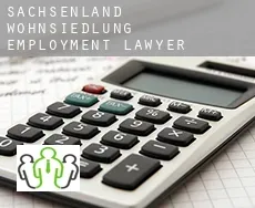 Sachsenland-Wohnsiedlung  employment lawyer