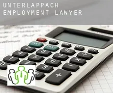 Unterlappach  employment lawyer