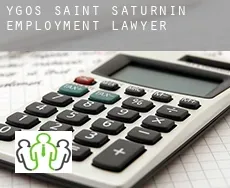 Ygos-Saint-Saturnin employment lawyer