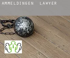 Ammeldingen  lawyer