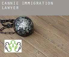 Cannie  immigration lawyer