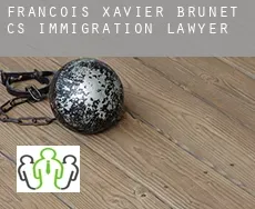 François-Xavier-Brunet (census area)  immigration lawyer
