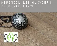 Mérindol-les-Oliviers  criminal lawyer