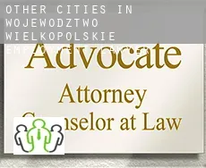 Other cities in Wojewodztwo Wielkopolskie  employment lawyer