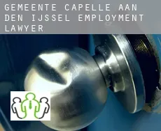 Gemeente Capelle aan den IJssel employment lawyer