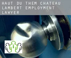 Haut-du-Them-Château-Lambert  employment lawyer