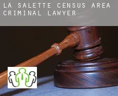 La Salette (census area)  criminal lawyer