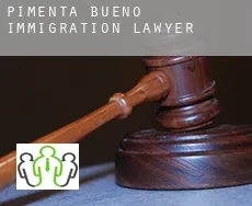 Pimenta Bueno  immigration lawyer