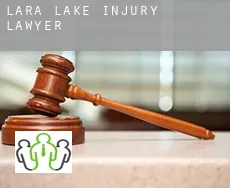 Lara Lake  injury lawyer