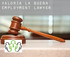Valoria la Buena  employment lawyer