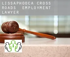 Lissaphooca Cross Roads  employment lawyer