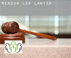 Meadow Lea  lawyer
