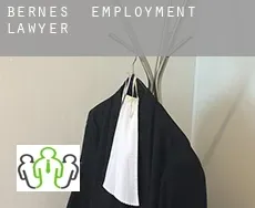 Bernes  employment lawyer