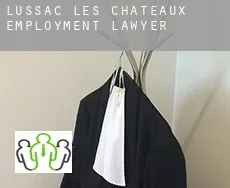 Lussac-les-Châteaux  employment lawyer