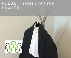 Riedl  immigration lawyer