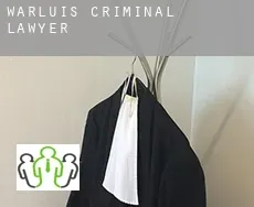 Warluis  criminal lawyer