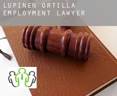 Lupiñén-Ortilla  employment lawyer