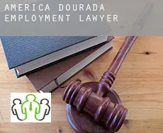América Dourada  employment lawyer