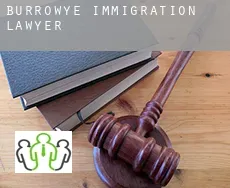 Burrowye immigration lawyer