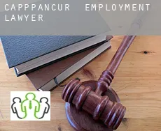 Capppancur  employment lawyer