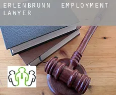 Erlenbrunn  employment lawyer