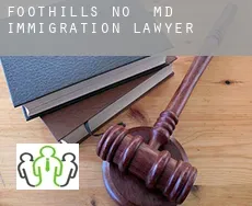 Foothills M.District  immigration lawyer