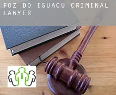 Foz do Iguaçu criminal lawyer