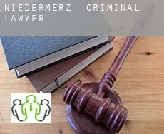 Niedermerz  criminal lawyer