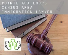 Pointe-aux-Loups (census area)  immigration lawyer