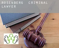 Rosenberg  criminal lawyer