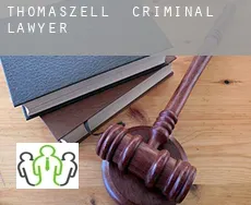 Thomaszell criminal lawyer