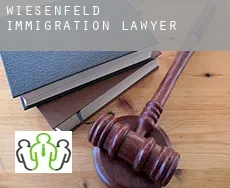 Wiesenfeld  immigration lawyer
