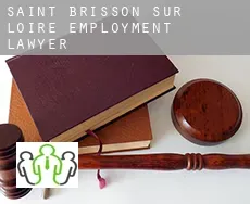 Saint-Brisson-sur-Loire employment lawyer