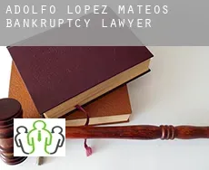 Adolfo López Mateos bankruptcy lawyer