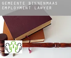 Gemeente Binnenmaas  employment lawyer