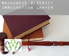 Mackenzie District
  immigration lawyer