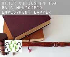 Other cities in Toa Baja Municipio  employment lawyer