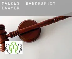 Malkes bankruptcy lawyer
