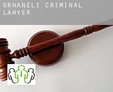 Orhaneli  criminal lawyer