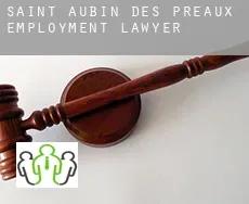 Saint-Aubin-des-Préaux employment lawyer