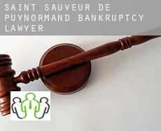 Saint-Sauveur-de-Puynormand  bankruptcy lawyer