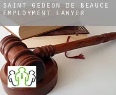 Saint-Gédéon-de-Beauce  employment lawyer