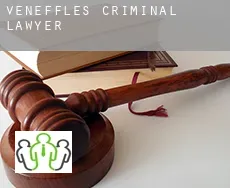 Veneffles  criminal lawyer