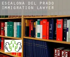 Escalona del Prado  immigration lawyer