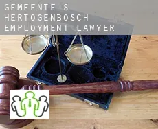 Gemeente 's-Hertogenbosch  employment lawyer