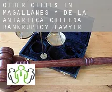 Other cities in Magallanes y de la Antartica Chilena  bankruptcy lawyer