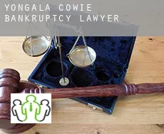 Yongala Cowie bankruptcy lawyer